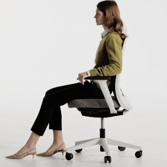 air-flex1.gif